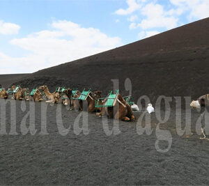 Arrecifes de Lanzarote
