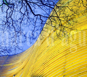 Edifício Copan São Paulo