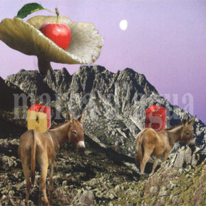 ILUSTRAÇÃO COMESTÍVEL nº 01